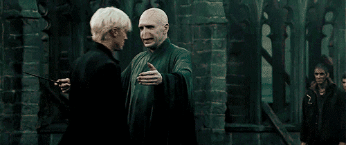 Funny Harry Potter Meme GIFs