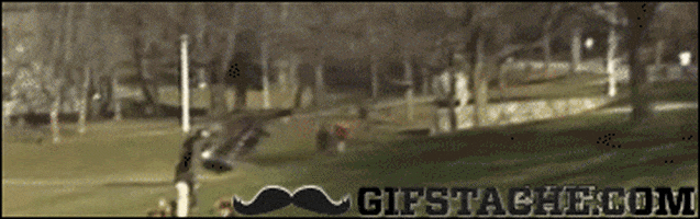 200.gif