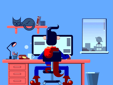 man working at computer while a cat sits on the shelf above him
