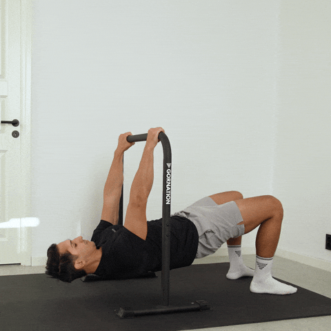 scapula rows exercise demonstration