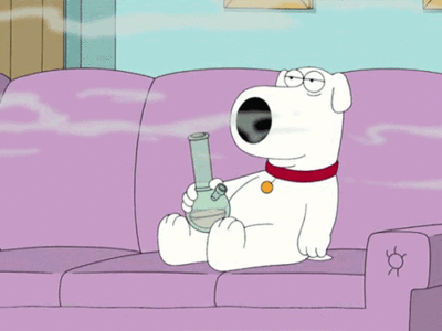 Image result for brian griffin gif