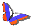 Russian butterfly