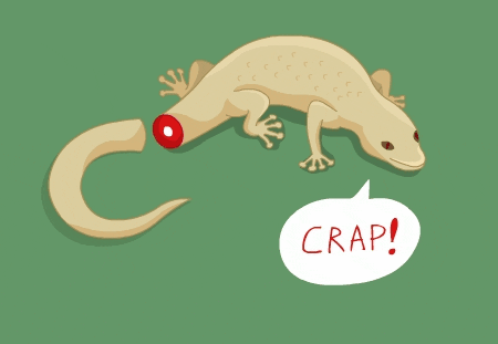 RÃ©sultat de recherche d'images pour "lizard tail moving gif"