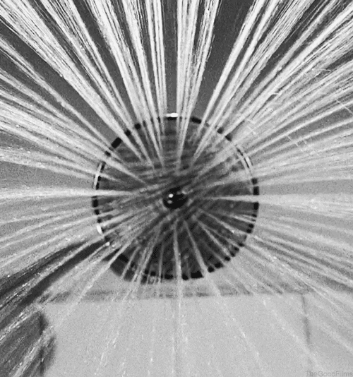 Black And White Shower GIF by The Good Films - Find & Share on GIPHY