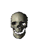 Image result for skull gif 90s