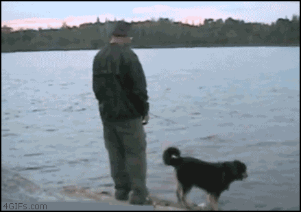 https://media.giphy.com/media/yTBawycuI6Hew/giphy.gif