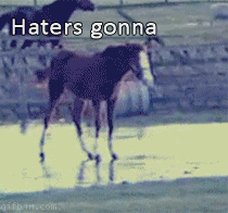 Best Of Haters Gonna Hate in animals gifs
