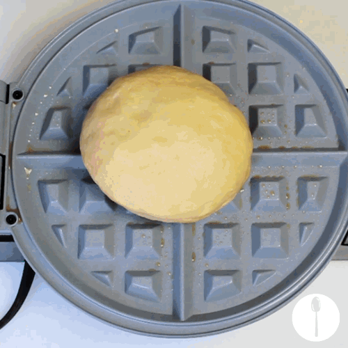 Waffle GIF Find & Share on GIPHY