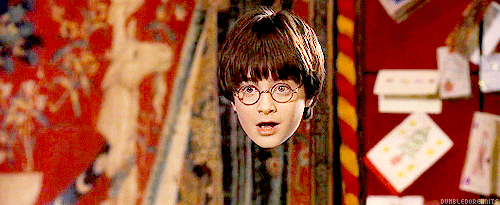 Capa de invisibilidad Harry Potter 