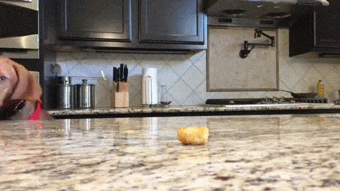 Kitchen Reaching GIF - Find & Share on GIPHY