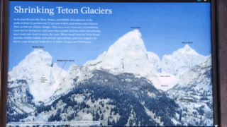 Ladies Gentlemen GIF - Find & Share on GIPHY