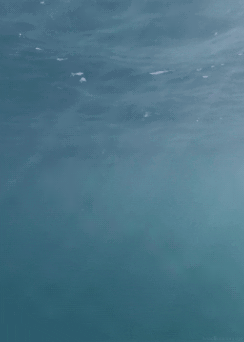 Water GIF Find & Share on GIPHY