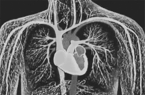 Black And White Heart GIF