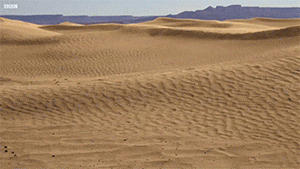 Sand dunes dancing over several hours or days