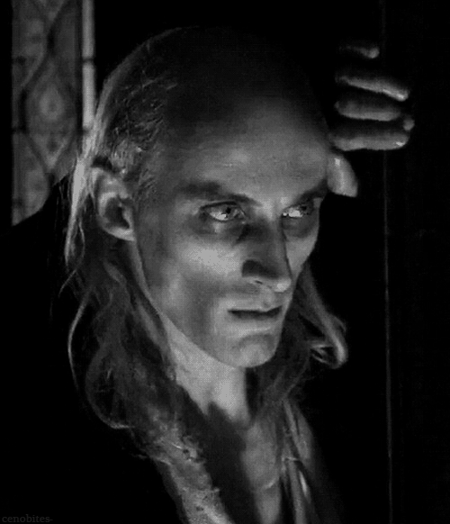 Hellraiser GIF Find & Share on GIPHY