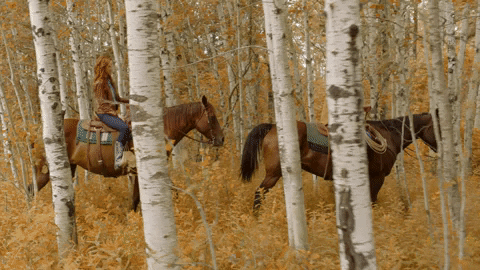 paseo a caballo en otoño entre los árboles