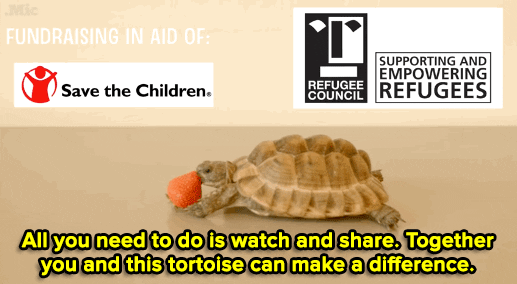 Mic youtube alan rickman turtle charity