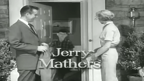 whatever happened to jerry mathers