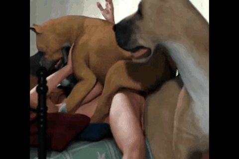 dog fucks girl porn dog fucks girl porn