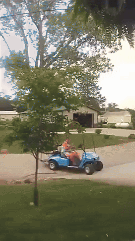 giphy.gif