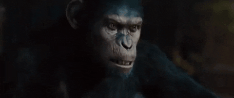 no dawn of the planet of the apes angry
