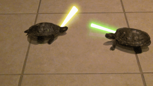 turtle light sabers fight