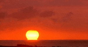 Cool Runnings 90S GIF