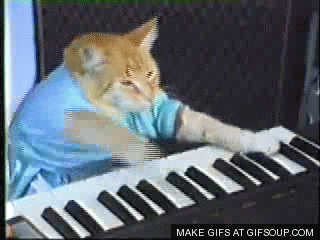 animated keyboard kat