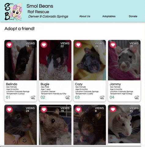 Smol-Beans-Adoption-Card-Hover