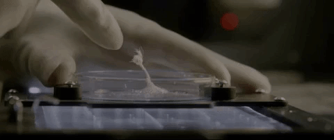  моллюск оживший в тарелке, моллюск ожил, оживший моллюск, ожившее суши 