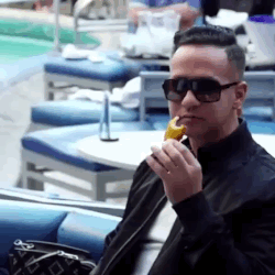 New trending GIF on Giphy  Jersey shore gif, Jersey shore, Jersey