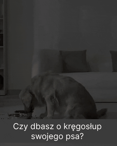 System antychlapiący ogranicza rozlewanie