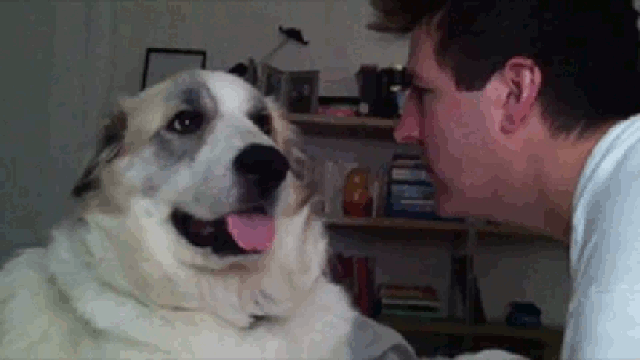 friend mans gif find share on giphy