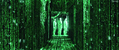 giphy.gif