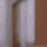 [Image: giphy.gif?cid=ecf05e47qnxy5uh956owitmn9a...y.gif&ct=g]