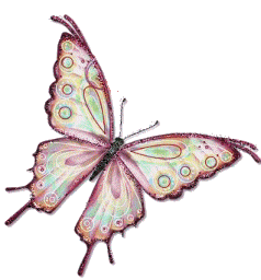 Butterfly Sticker for iOS & Android | GIPHY