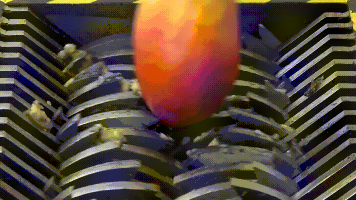 Mango GIF - Find & Share on GIPHY