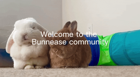 We are in an urgent need to buff the bunnies! We need more bunnies! -  Community Content - Empires & Puzzles Community Forum