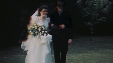 American Wedding Gifs Get The Best Gif On Giphy