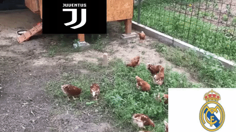 Real Madrid fans after Cristiano Ronaldo Joins Juventus in football gifs