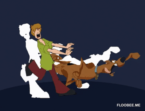 Scooby and shaggy in gifgame gifs