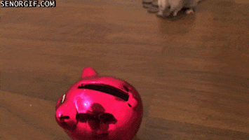 Coin In Piggy Bank GIFs - Find & Share on GIPHY