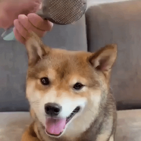 Eric the good boy leaving a 5 star review