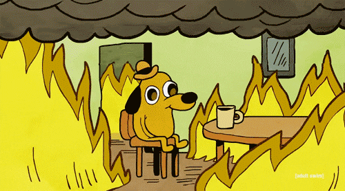 This Is Fine Meme: Your content is the dog, and the burning room is TikTok. Using the right hashtags (the coffee mug) can help your content thrive.