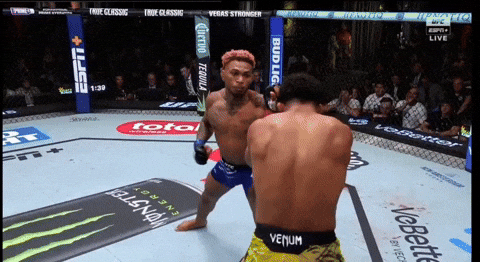 giphy.gif