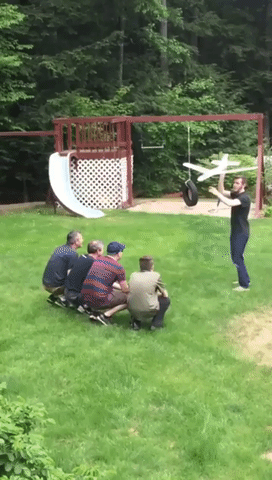 giphy.gif