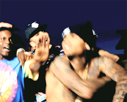 giphy.gif