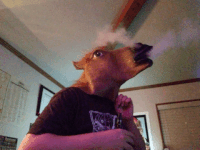 Attēls