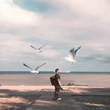 Bewegtbildmanufaktur GIF