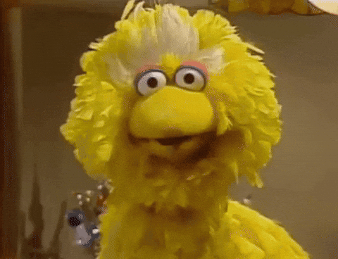 Big Bird